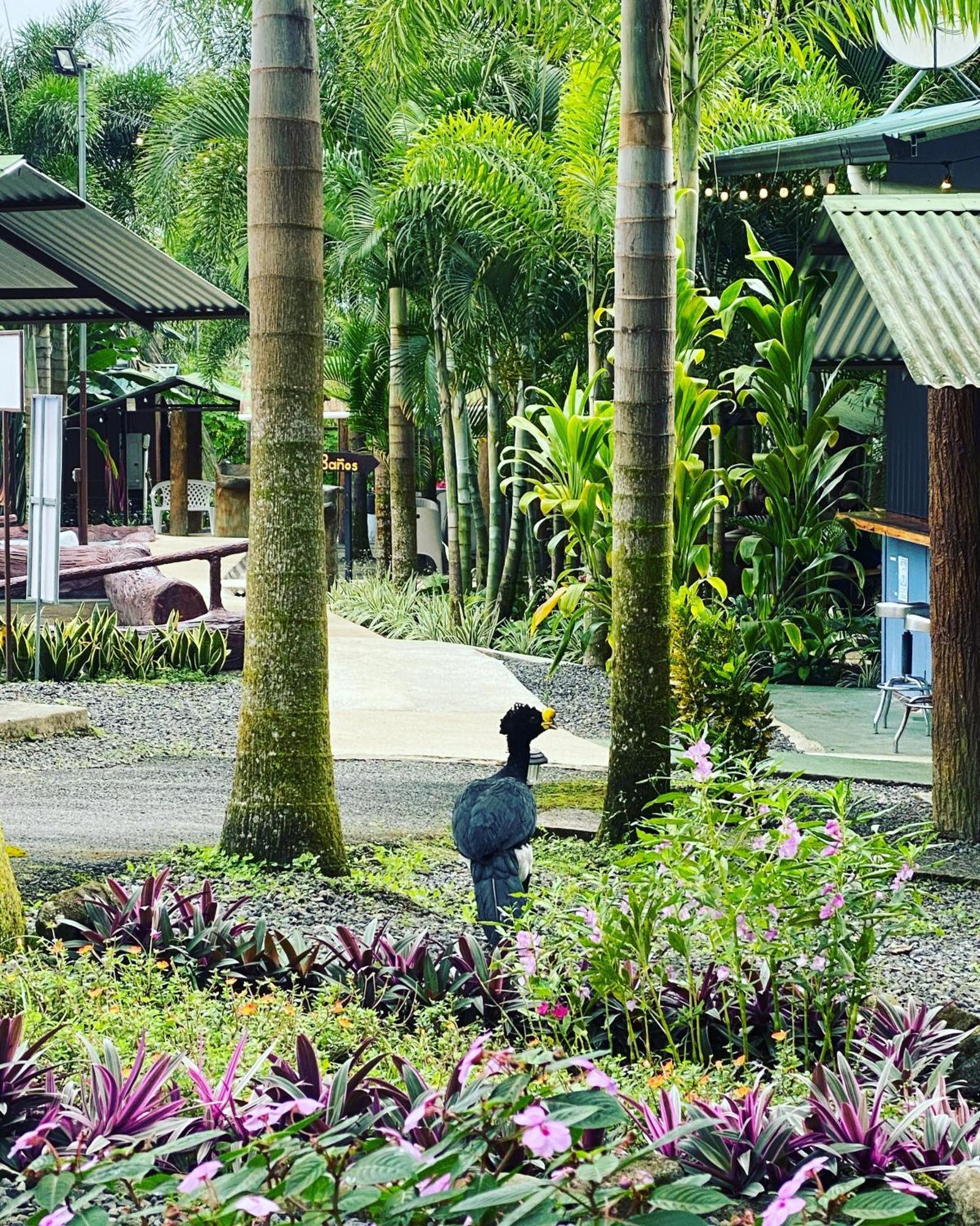 Termales Del Arenal Hotell La Fortuna Exteriör bild